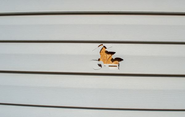 Siding Hole Patching in Katy